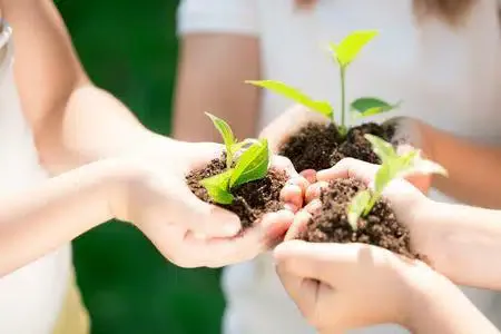 Consulenza e serietà al tuo servizio